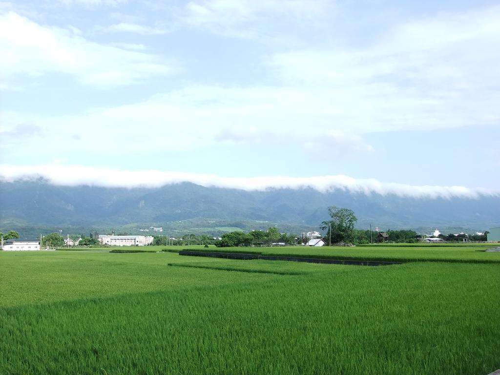池上福吉園素食民宿 臺東縣民宿073號 請勿透過阿勾達訂房 ภายนอก รูปภาพ